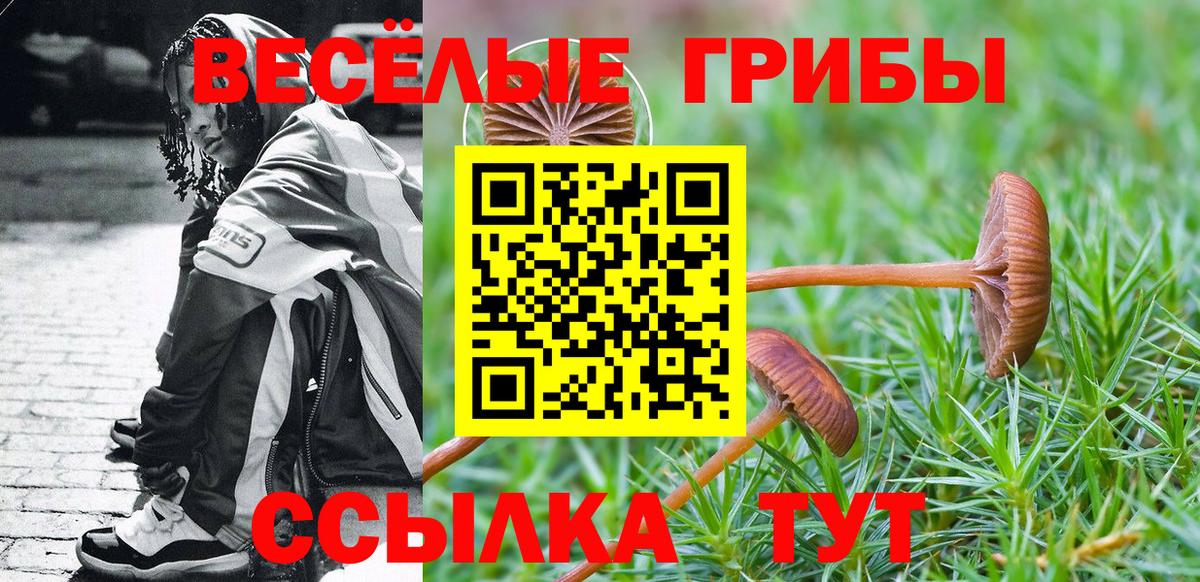 Псилоцибиновые грибы Cubensis Екатеринбург